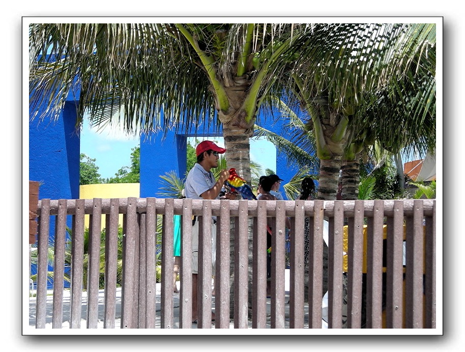 Cozumel-Cruise_342