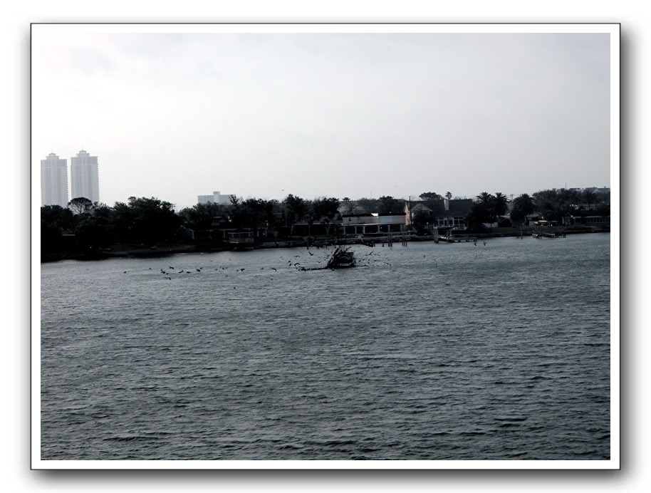 Cozumel-Cruise_412