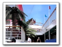 Cozumel-Cruise_213
