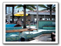 Cozumel-Cruise_266