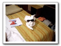 Cozumel-Cruise_288