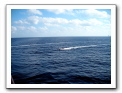 Cozumel-Cruise_297