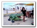 Cozumel-Cruise_312