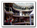 Cozumel-Cruise_130