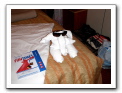 Cozumel-Cruise_362