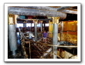 Cozumel-Cruise_374