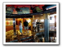 Cozumel-Cruise_378