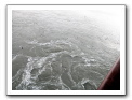 Cozumel-Cruise_426