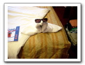 Cozumel-Cruise_159