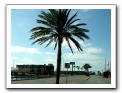 Cozumel-Cruise_110