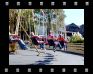 DSC00004