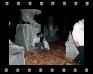 DSC00060
