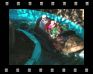 DSCN0060