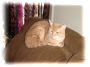 XMAS-2006_105