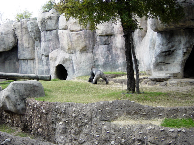 FW-Zoo_607