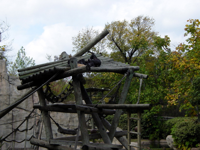 FW-Zoo_608