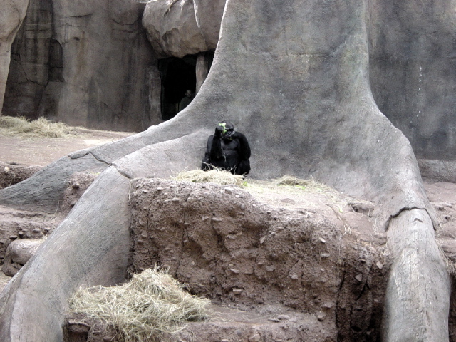 FW-Zoo_609