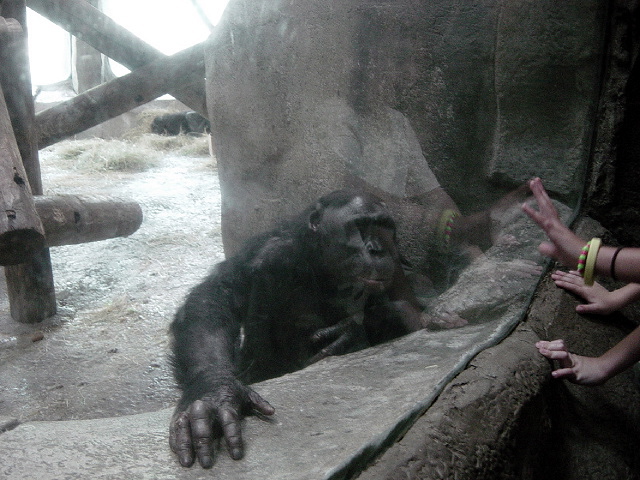 FW-Zoo_611
