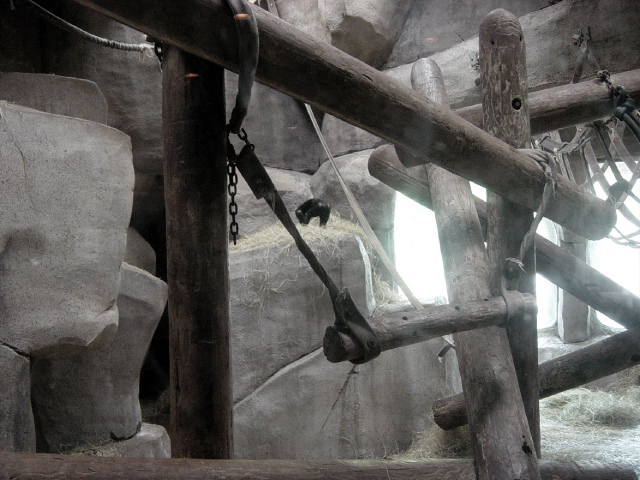 FW-Zoo_612