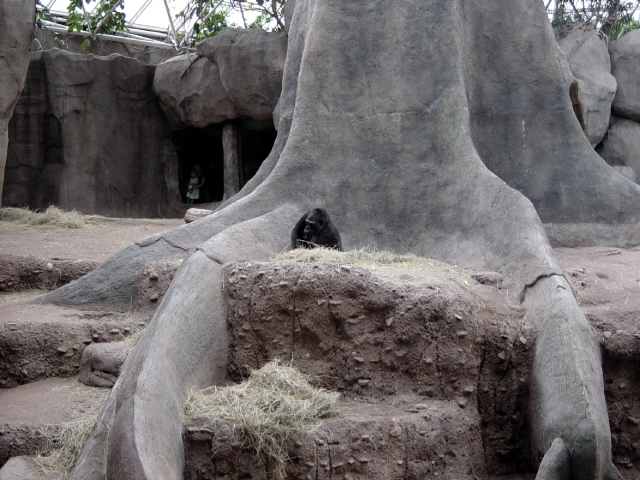 FW-Zoo_613