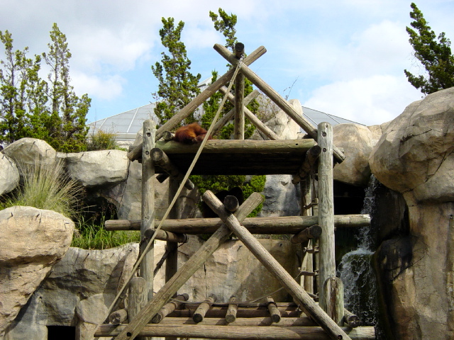 FW-Zoo_614