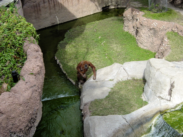 FW-Zoo_615