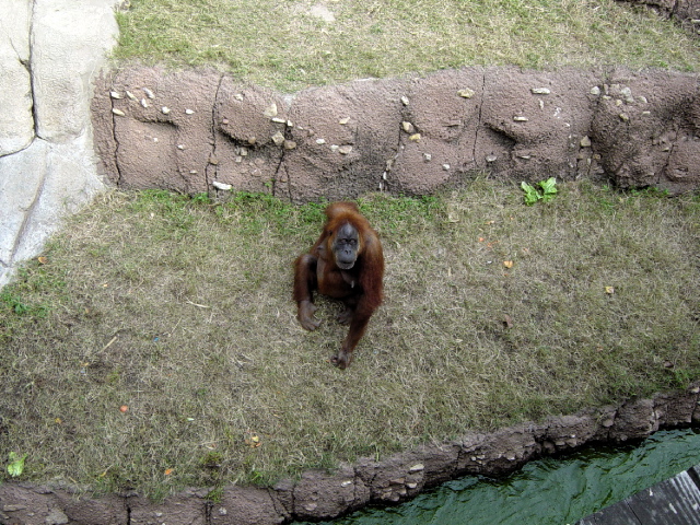 FW-Zoo_616