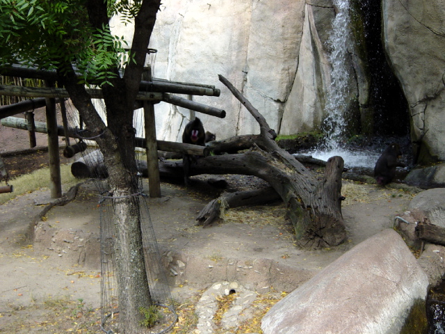 FW-Zoo_618