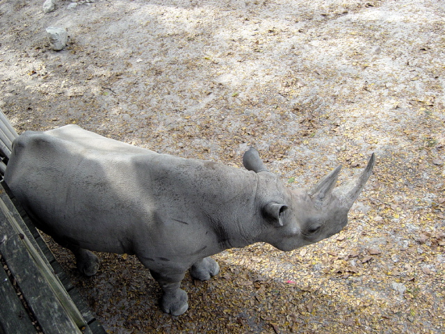 FW-Zoo_619