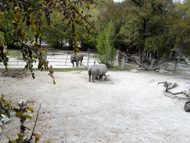 FW-Zoo_620