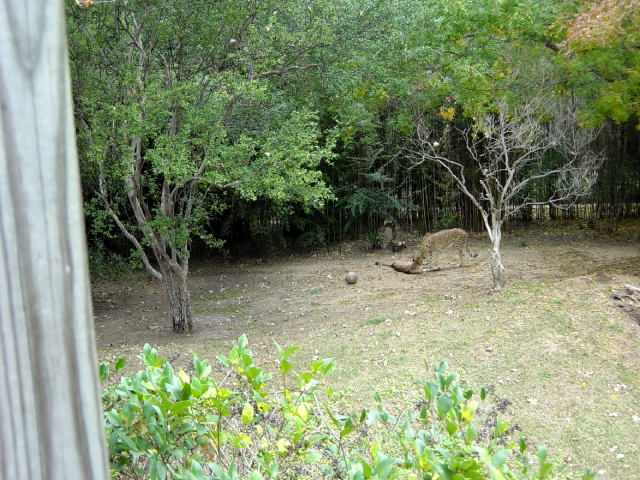 FW-Zoo_624