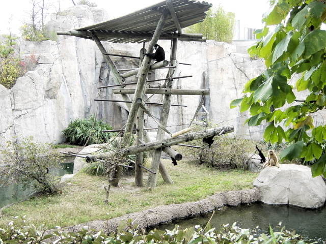 FW-Zoo_626