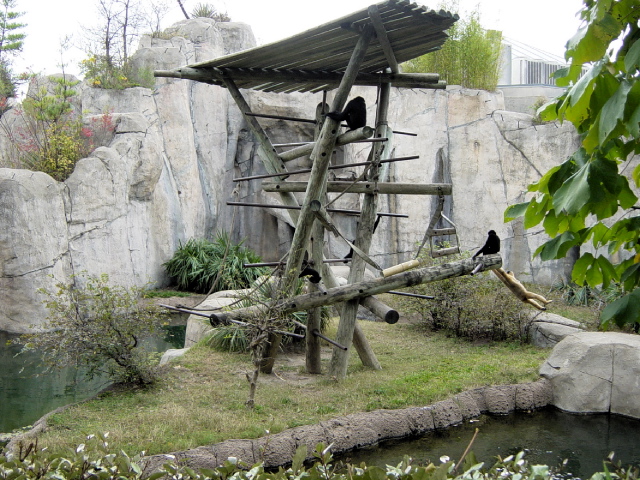 FW-Zoo_627