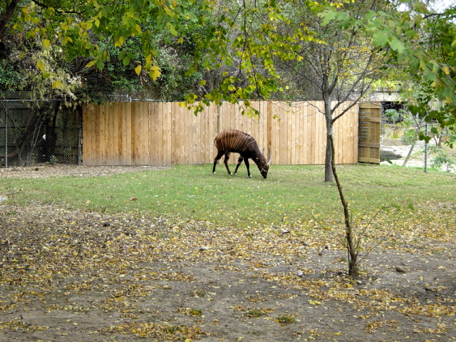 FW-Zoo_628