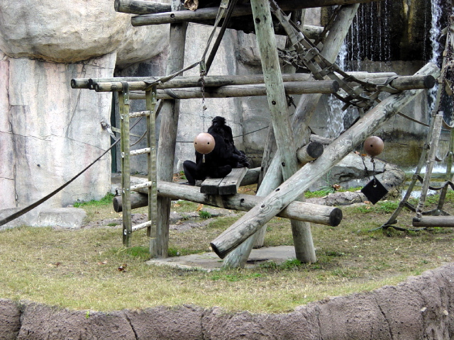 FW-Zoo_629