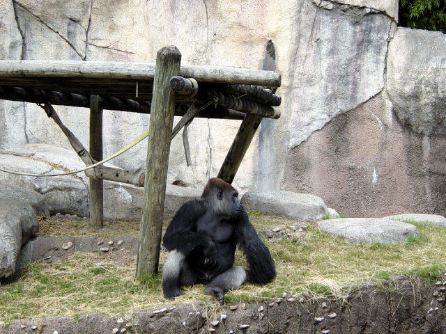 FW-Zoo_630