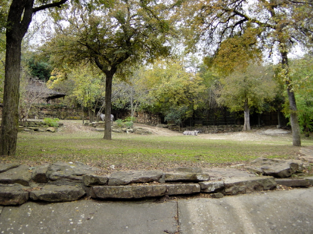 FW-Zoo_631