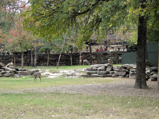 FW-Zoo_632
