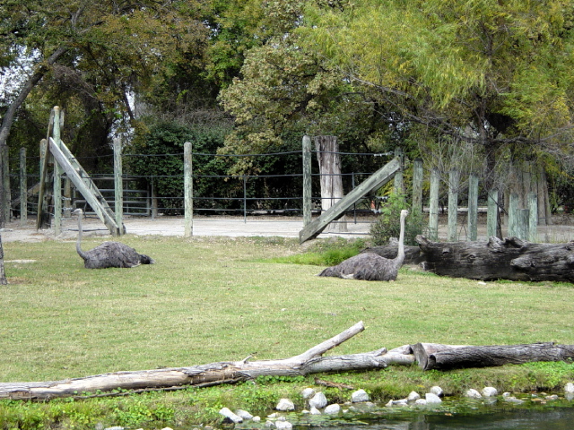 FW-Zoo_645