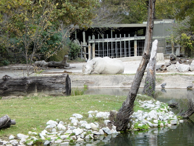 FW-Zoo_646