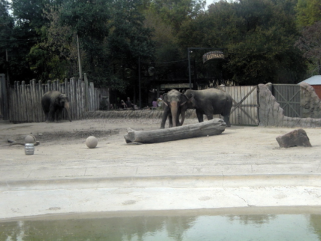 FW-Zoo_650
