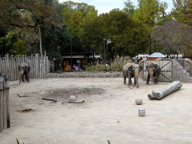 FW-Zoo_651