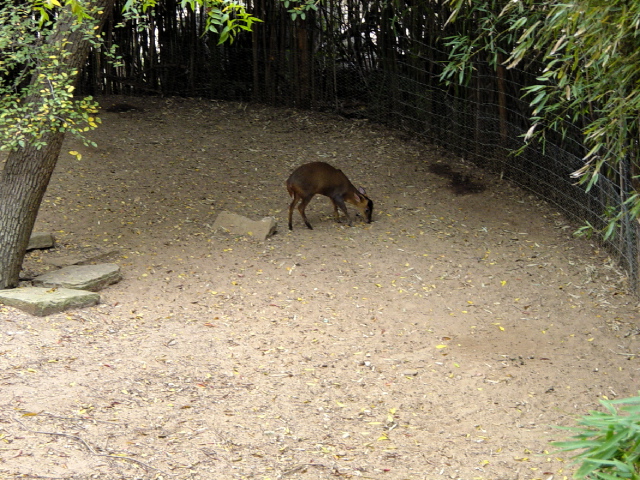 FW-Zoo_653