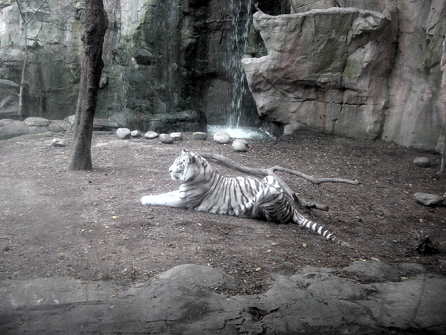 FW-Zoo_654