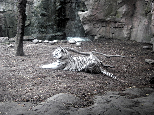 FW-Zoo_655