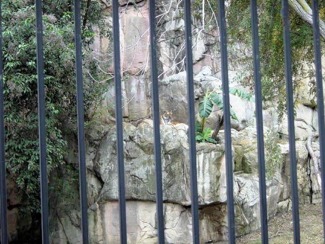 FW-Zoo_656