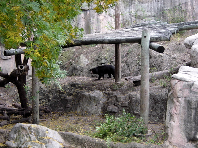 FW-Zoo_657