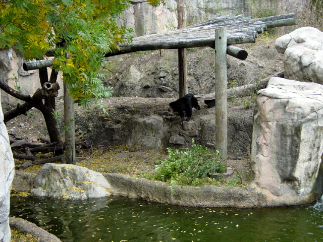 FW-Zoo_658
