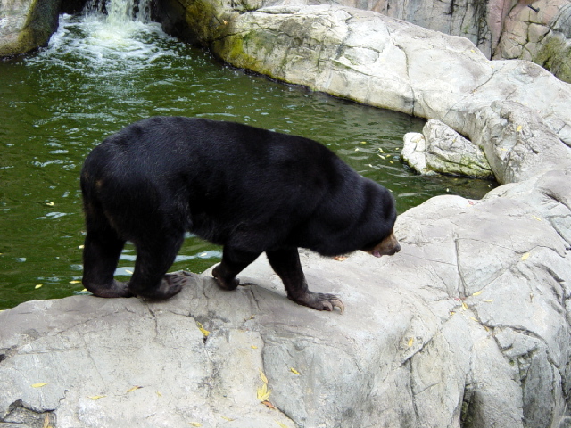 FW-Zoo_659