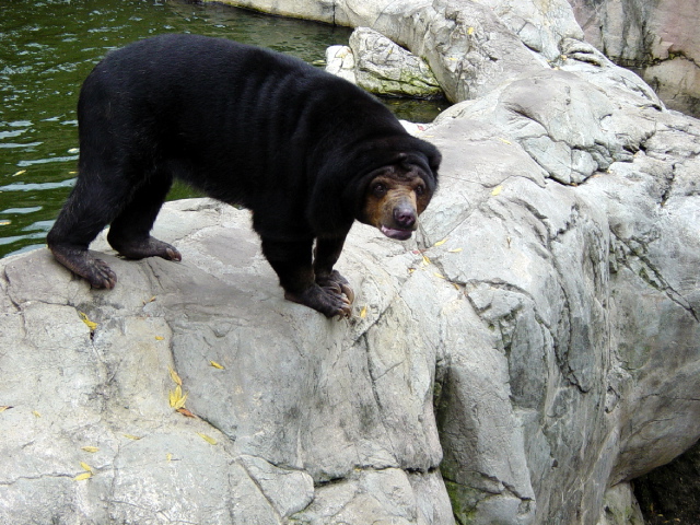 FW-Zoo_660